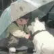 19719853724@的头像-天机阁