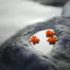 梦衍