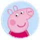 橘子np的头像-投影工坊