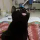 你猜猜看啊