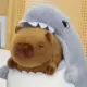 smdlzdl