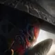 布诺的头像-投影工坊