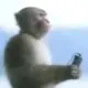 baili