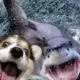 马云