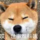 星期一的丰满的头像-天机阁