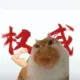 kitty91的头像-天机阁