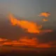 ┈┾☆影末℃