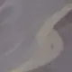 干豆腐