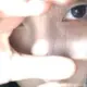 l1162627445
