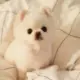 3224