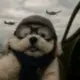 赤发鬼猛帅的头像-投影工坊