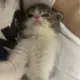 weiming
