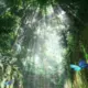 源音