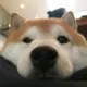 hei