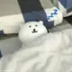 AHYrora的头像-投影工坊