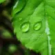 作者复合茶的头像
