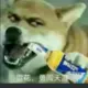枫红叶落的头像-投影工坊