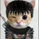 czwnb