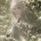 小太阳