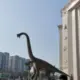 大唐明月