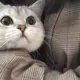 StǒΡ╭ァ航ル