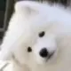 fCMhoqxr
