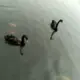 我回来了