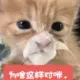 Mingship的头像-投影工坊