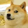 aaaaaa