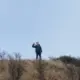 言西