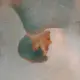 anidas