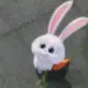 黄太狼