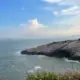 1252768804
