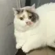 s9610