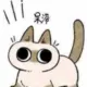 OHOWOTO