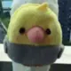 zzz95