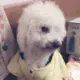qiuyuping
