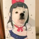 作者