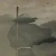 simplezac1995