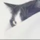 到底还爱不爱