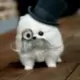 C哩