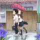 shiaho