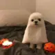 lukewang