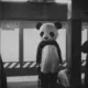 inuoy
