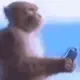 aa178294的头像-天机阁