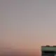 y先生