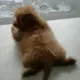 路零永恒 的头像