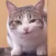 LMS
