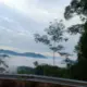不想起名字的头像-投影工坊