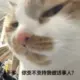 头像-方舟游戏